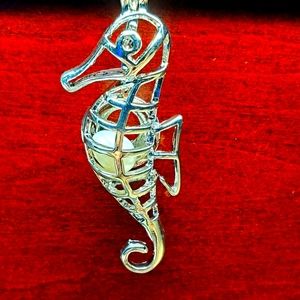 Necklace with 18inch chain and pendant